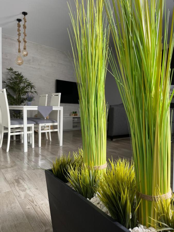 Apartamento Banferra Jerez de la Frontera Exteriér fotografie